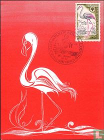 Flamingo