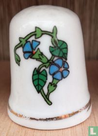 [Klimplant met blauwe bloemen]