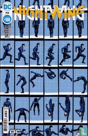  Nightwing 113
