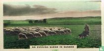 An Evening Scene in Sussex