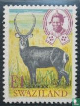 Waterbuck