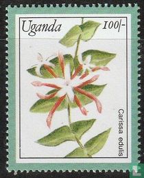 Botanic Gardens
