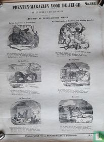 Natuurlijke geschiedenis. Amfibieën of tweeslachtige dieren