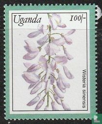 Botanic Gardens