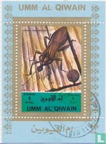 Insects
