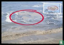 Marine pollution