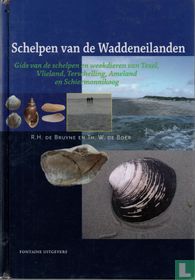 Schelpen van de Waddeneilanden