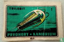TRILOBIT