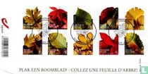 Collez une feuille d'arbre