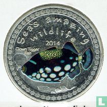 Burundi 5000 francs 2014 clown tigger fish