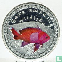 Burundi 5000 francs 2014 lyretail anthias