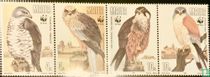 WWF - Migratory Birds of Prey
