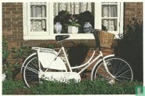 Witte fiets/white bike (456)
