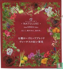 Black Tea with fruits
