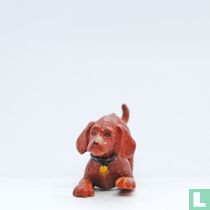 Paddy (Setter irlandais)