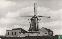 Molen "De Duinmaijer", Westzaan