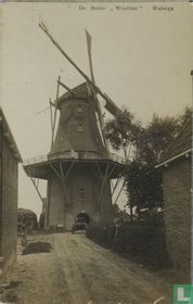 De Molen "Windlust" Wolvega