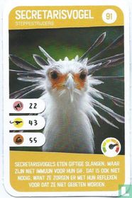 Secretarisvogel acheter