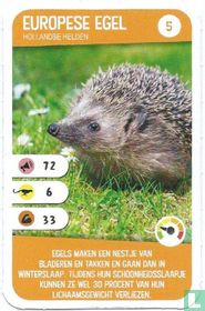 Europese Egel