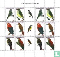 Oiseaux