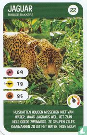 Jaguar