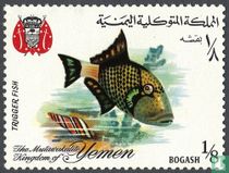 Poissons acheter