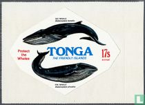 Conservation : les baleines