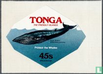 Conservation : les baleines