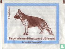 Berger Allemand / Deutscher Schaferhund