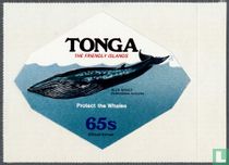 Conservation : les baleines