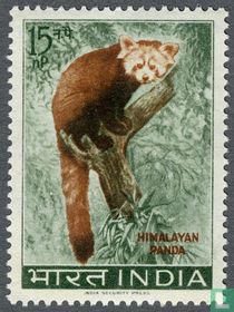 Native Animals