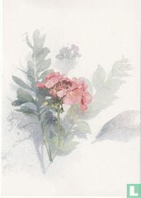 Bloemen 