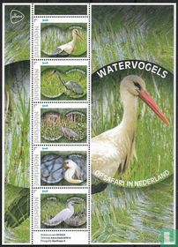 Watervogels