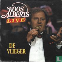 De vlieger