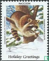 Natuurbeheer