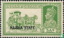 Dak tonga