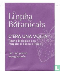 C'era Una Volta