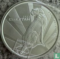 Cameroon 500 francs 2022 "Cheetah"