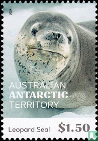 Seals
