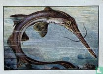 Pez-sierra japonés (1 a 2 m.)