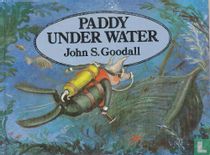 Paddy under water