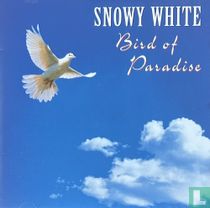 Bird of Paradise