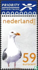 Het Nederlandse Wad