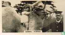 Bactrian Camel (Riding)