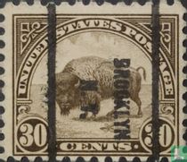 Bison d'Amérique du Nord