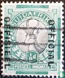 Springbok (African)