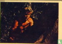 Tarzan