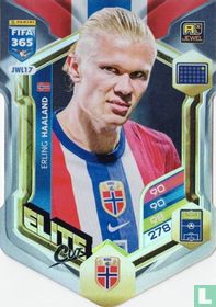 Erling Haaland