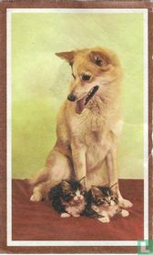  Union Parlor "hond en twee katjes"