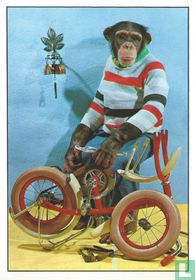 Aap achter fiets (949/T)